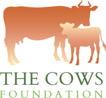 The Cows Foundation